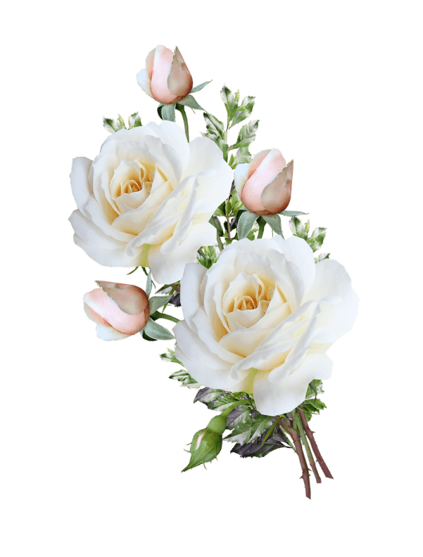 Destination Wedding Planners in Delhi, India, Global